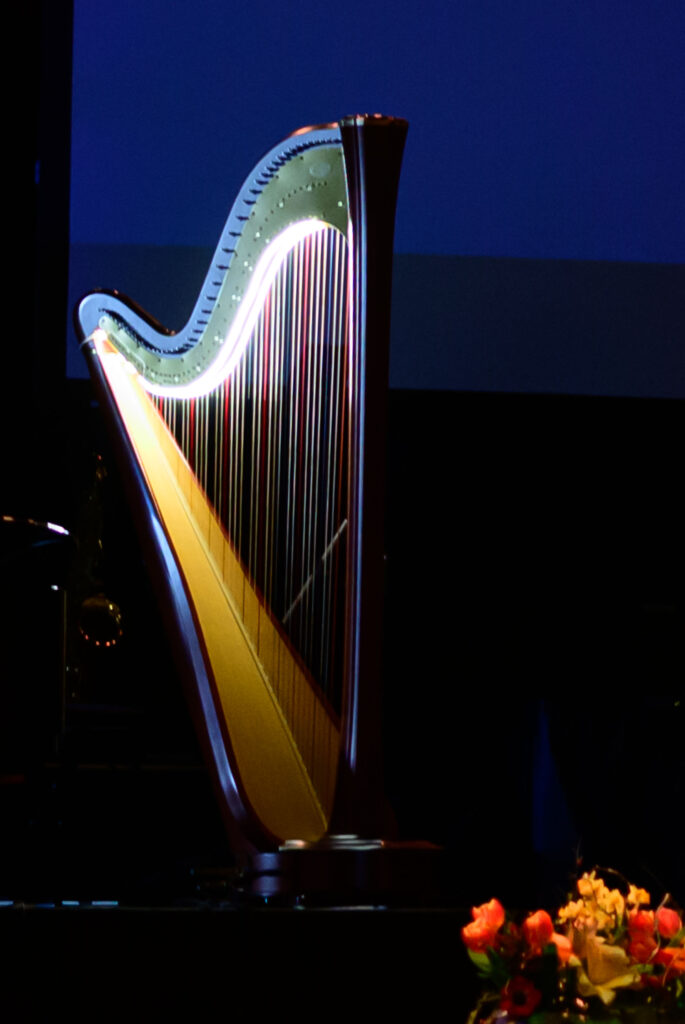 Praktische LED Lichtleiste zum Aufstecken – speziell entwickelt für Konzertharfen. Sorgt für optimale Ausleuchtung bei Proben und Auftritten.