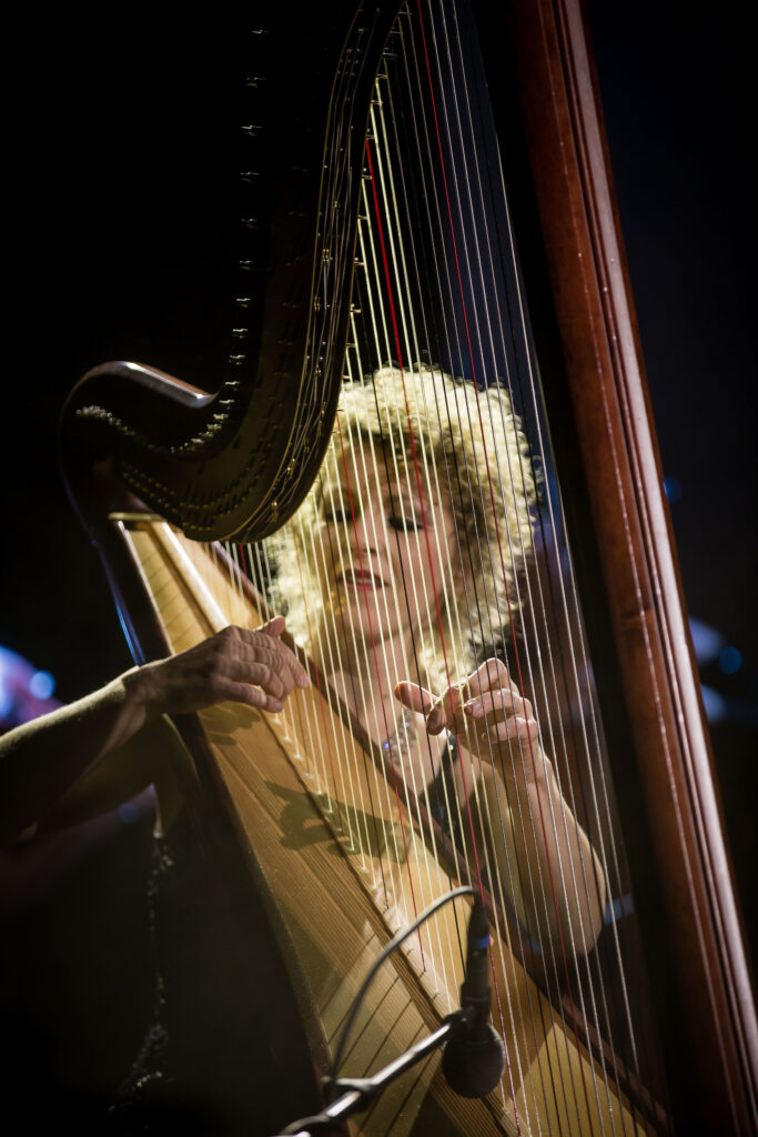 Anne Kox-Schindelin an der Harfe